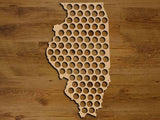 Illinois State Beer Cap Map, Beer Cap Holder Father's Day Gift for Him Handmade
